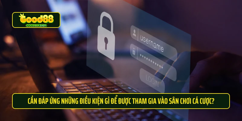 Cần đáp ứng những điều kiện gì để được tham gia vào sân chơi cá cược?