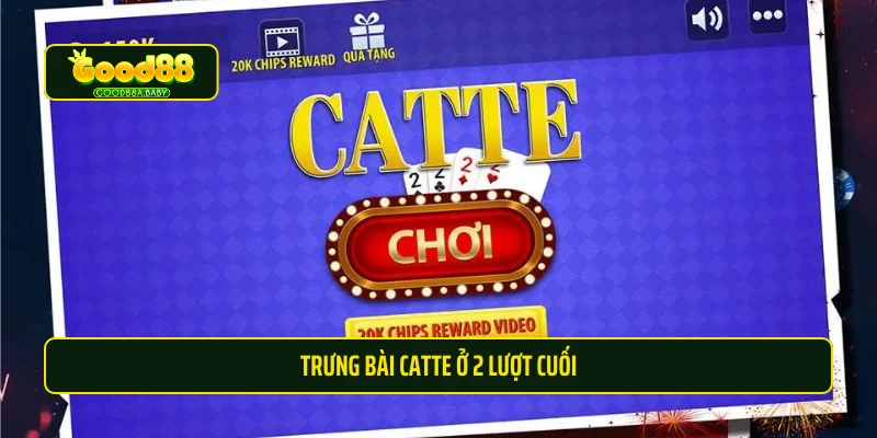 Trưng bài Catte ở 2 lượt cuối