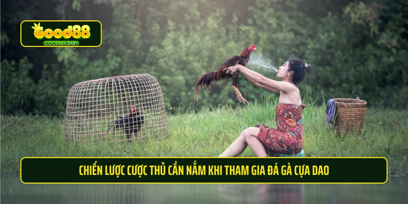 Chiến lược cược thủ cần nắm khi tham gia đá gà cựa dao