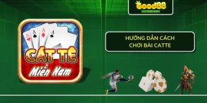 Hướng dẫn cách chơi bài Catte