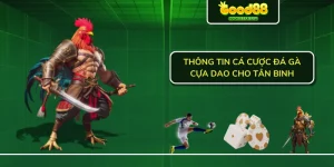 Thông tin cá cược đá gà cựa dao cho tân binh