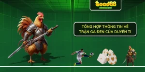 Tổng hợp thông tin về trận gà đen của Duyên Ti